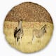 Designart 'Pair of Zebras in Namib Desert' Animal Throw Pillow - On ...