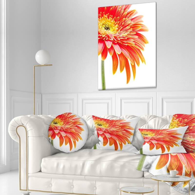 Designart 'Orange Gerbera on White Background' Floral Throw Pillow