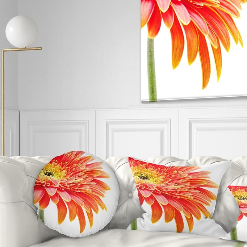 Designart 'Orange Gerbera on White Background' Floral Throw Pillow - Round - 16 inches round - Small