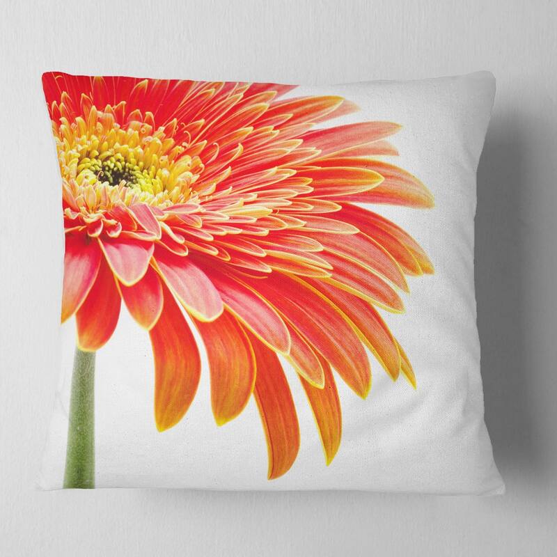 Designart 'Orange Gerbera on White Background' Floral Throw Pillow