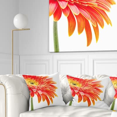 Designart 'Orange Gerbera on White Background' Floral Throw Pillow