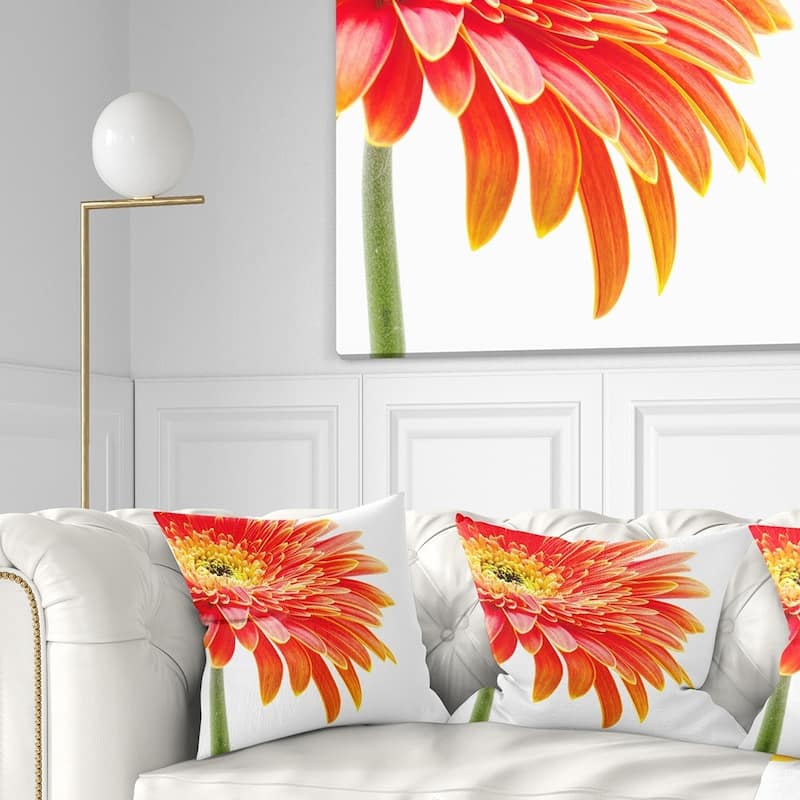 Designart 'Orange Gerbera on White Background' Floral Throw Pillow - Square - 26 in. x 26 in. - Large