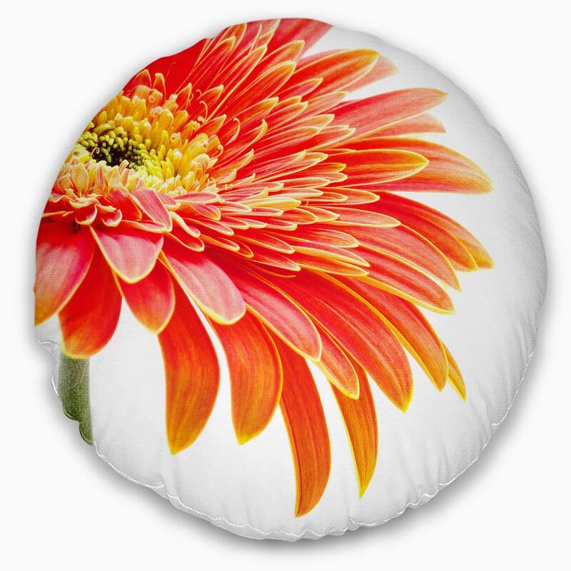 Designart 'Orange Gerbera on White Background' Floral Throw Pillow