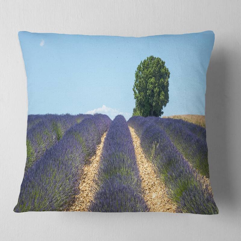Designart 'Beautiful Rows of Lavender in France' Landscape Printed Throw Pillow - Square - 16 in. x 16 in. - Small