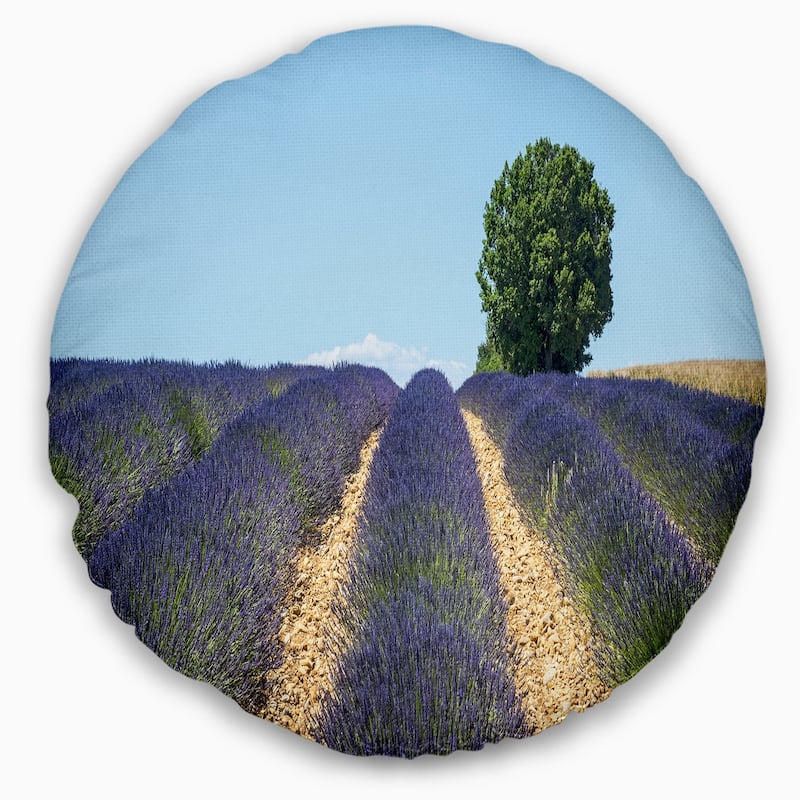 Designart 'Beautiful Rows of Lavender in France' Landscape Printed Throw Pillow