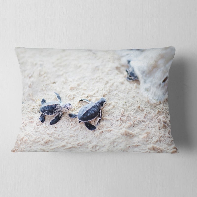 Designart 'Baby Green Turtles on Sand' Animal Throw Pillow