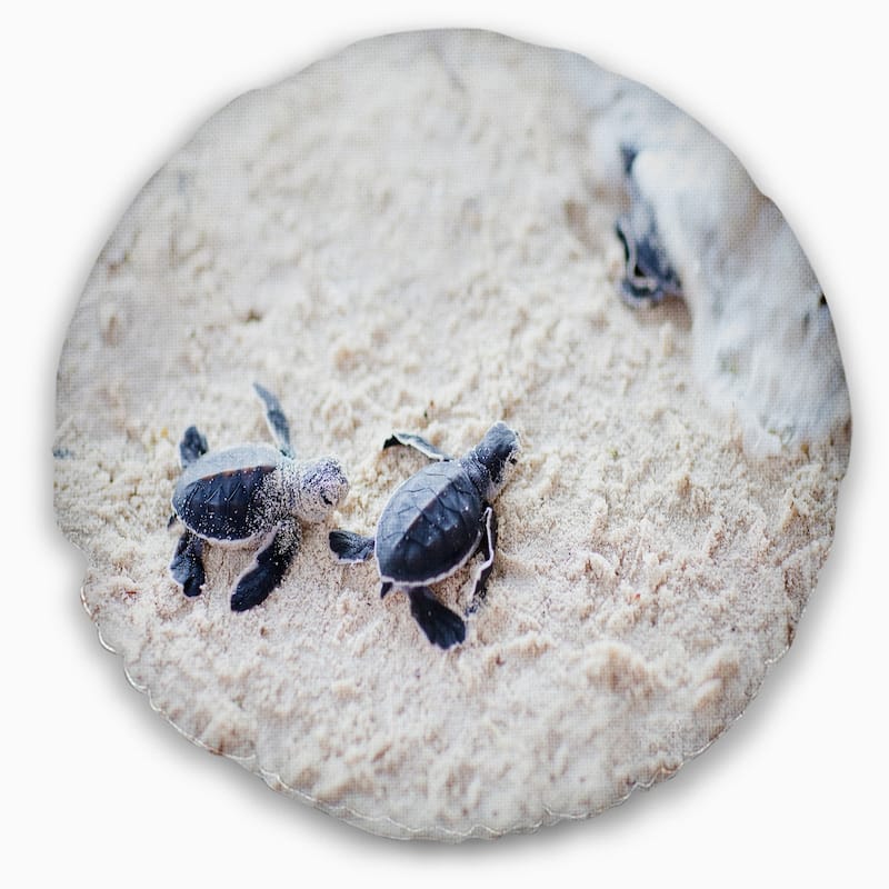 Designart 'Baby Green Turtles on Sand' Animal Throw Pillow