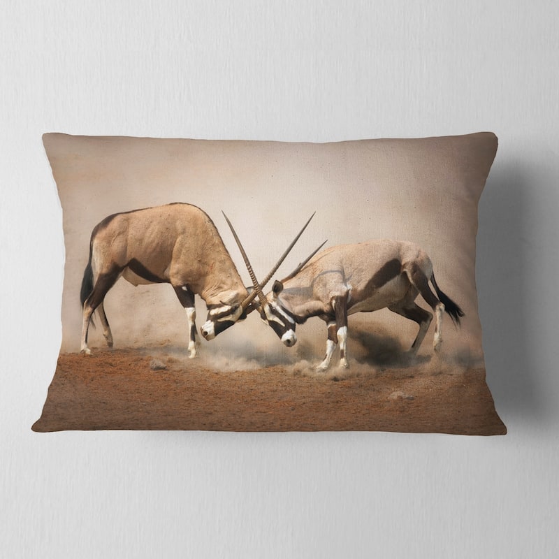 Designart 'Gemsbok Antelopes Fighting' African Wall Throw Pillow