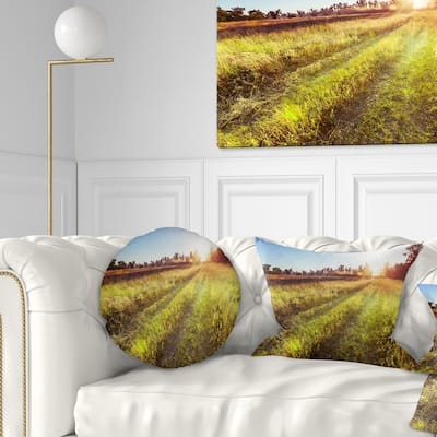 Designart 'Farm Road in Rural Meadow' Landscape Printed Throw Pillow