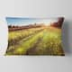 Designart 'farm Road In Rural Meadow' Landscape Printed Throw Pillow 