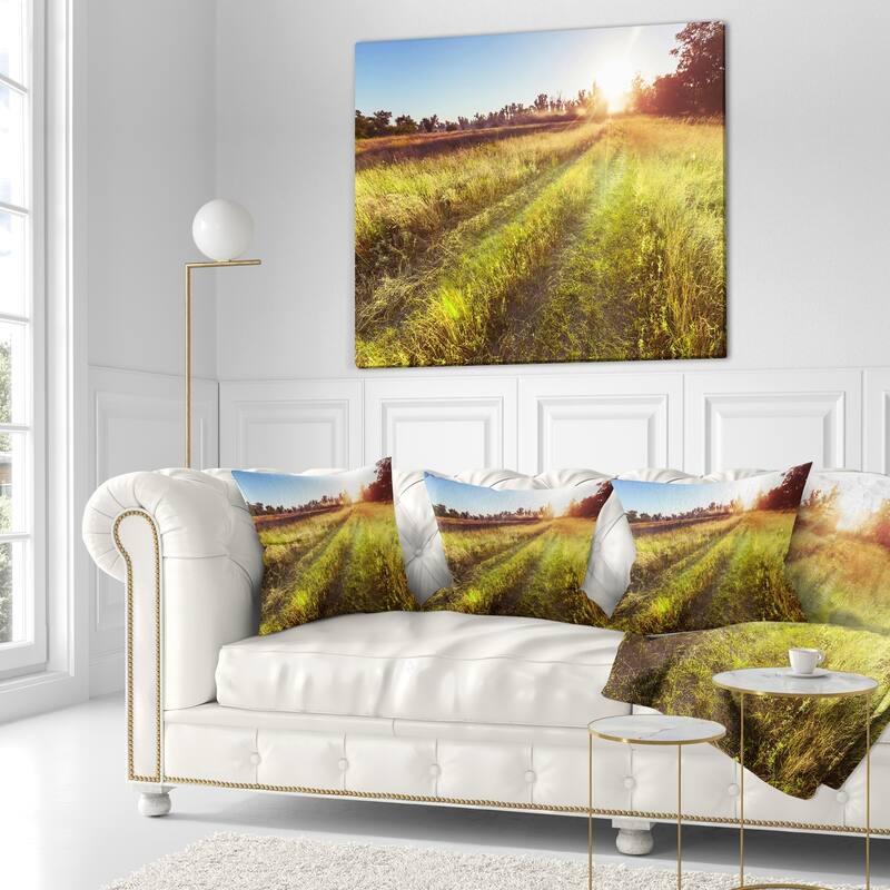 Designart 'Farm Road in Rural Meadow' Landscape Printed Throw Pillow