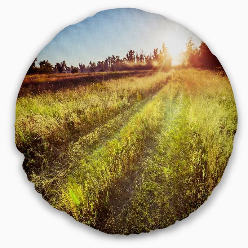 Designart 'Farm Road in Rural Meadow' Landscape Printed Throw Pillow
