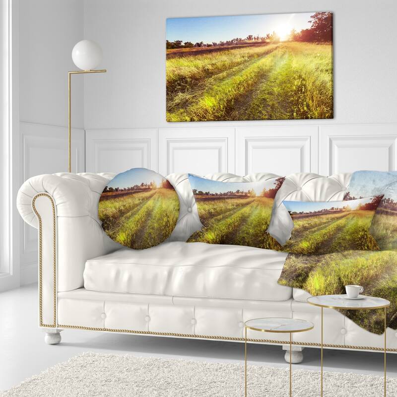 Designart 'Farm Road in Rural Meadow' Landscape Printed Throw Pillow