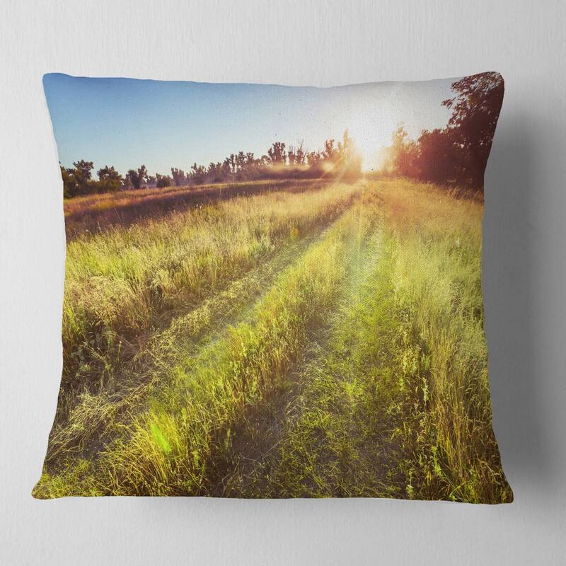Designart 'Farm Road in Rural Meadow' Landscape Printed Throw Pillow - Square - 26 in. x 26 in. - Large