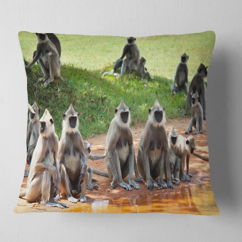 Designart 'Monkeys in Sri Lanka' African Throw Pillow - Square - 26 in. x 26 in. - Large
