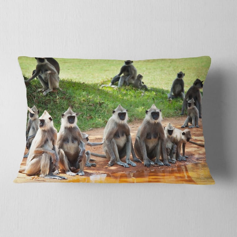 Designart 'Monkeys in Sri Lanka' African Throw Pillow