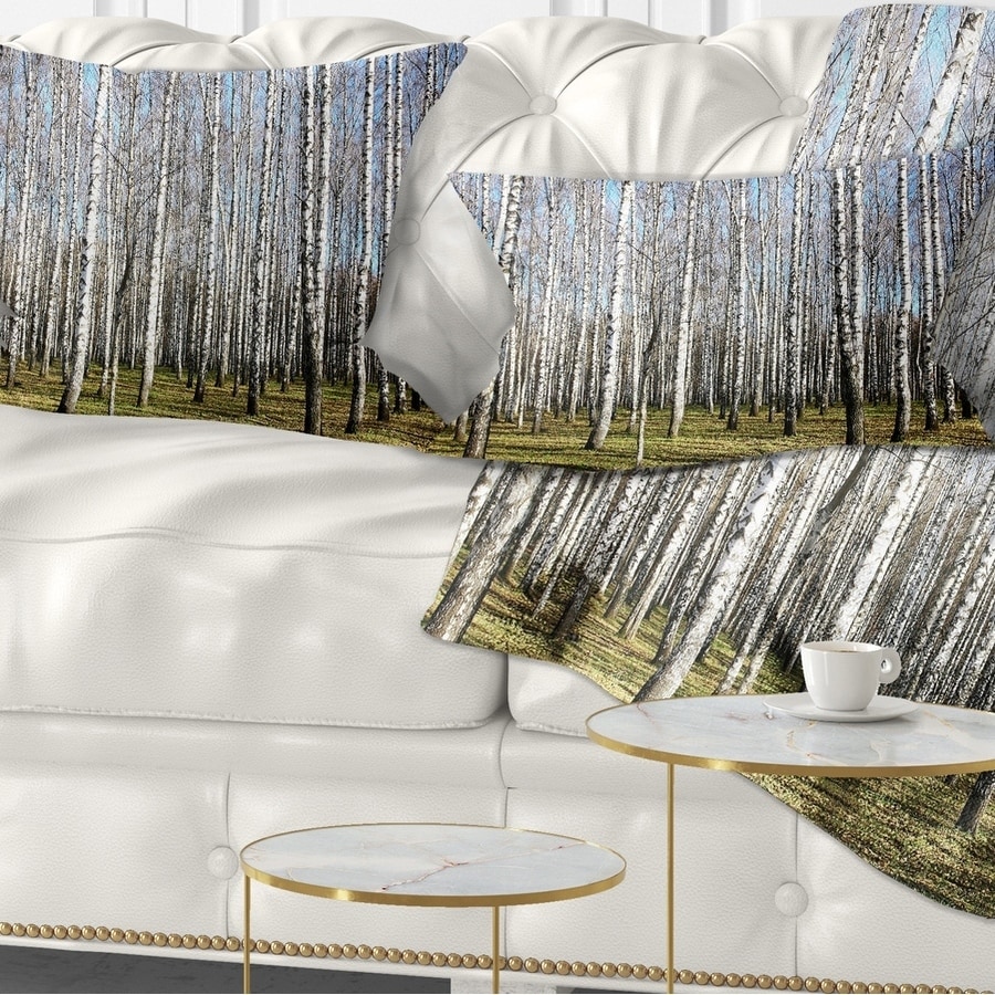 Insert Printed On Both Side Designart CU13993-20-20-C Sunny November Day in Birch Grow Modern Forest Round Cushion Cover for Living Room Sofa Throw Pillow 20