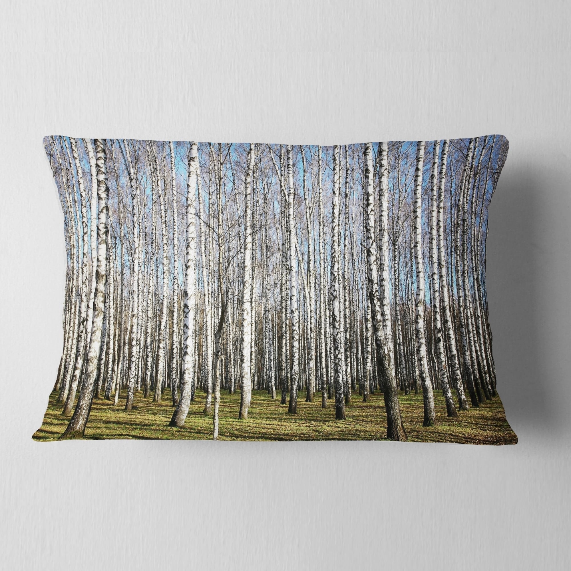 Insert Printed On Both Side Designart CU13993-20-20-C Sunny November Day in Birch Grow Modern Forest Round Cushion Cover for Living Room Sofa Throw Pillow 20