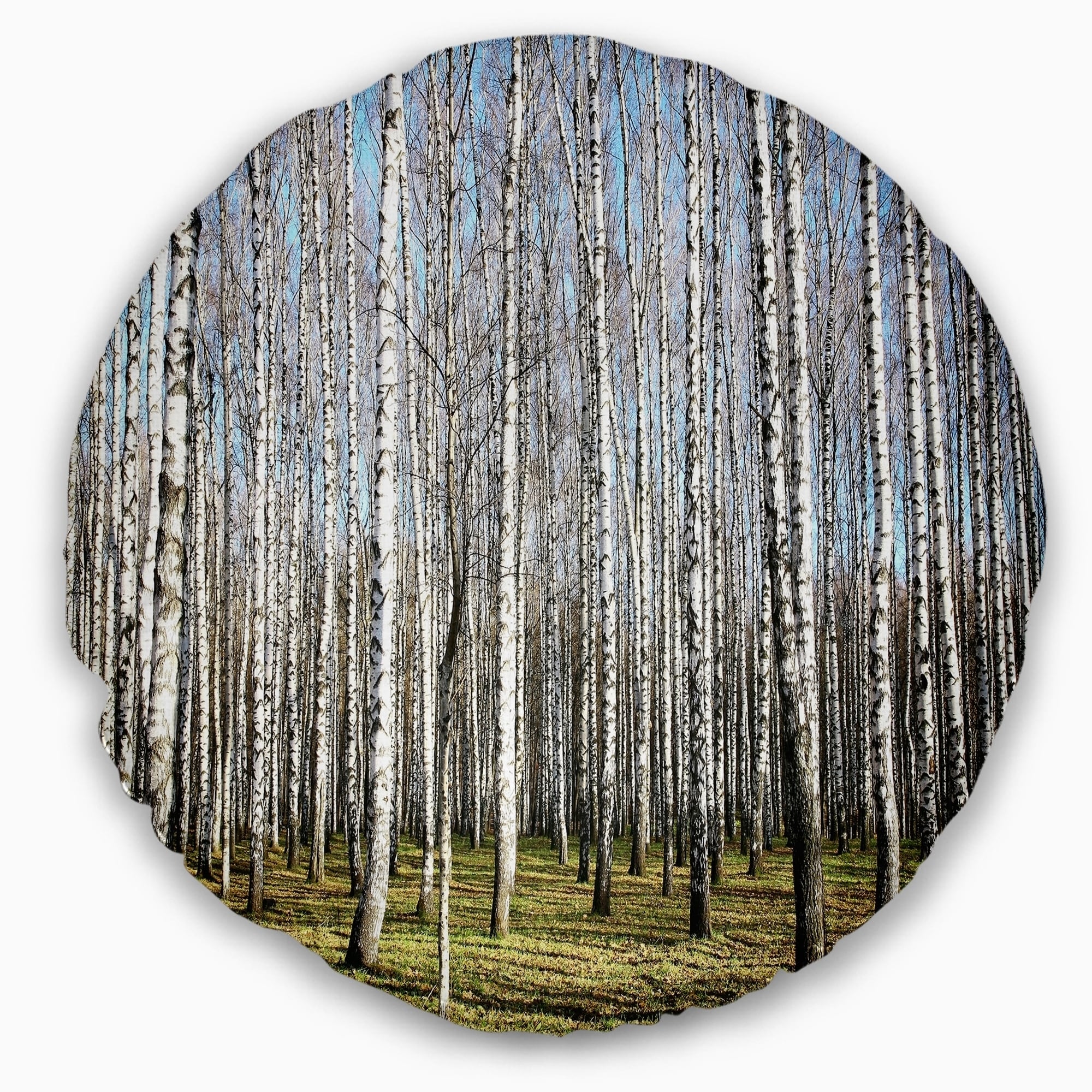 Insert Printed On Both Side Designart CU13993-20-20-C Sunny November Day in Birch Grow Modern Forest Round Cushion Cover for Living Room Sofa Throw Pillow 20