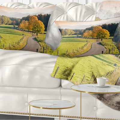 Designart 'Winding Country Road in the Fall' Landscape Printed Throw Pillow