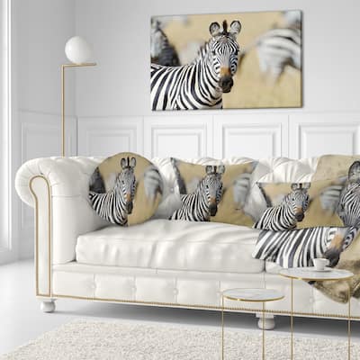 Designart 'African Zebra Close Up View' African Throw Pillow
