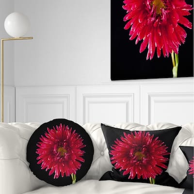 Designart 'Chrysanthemum Flower on Black' Flowers Throw Pillowwork