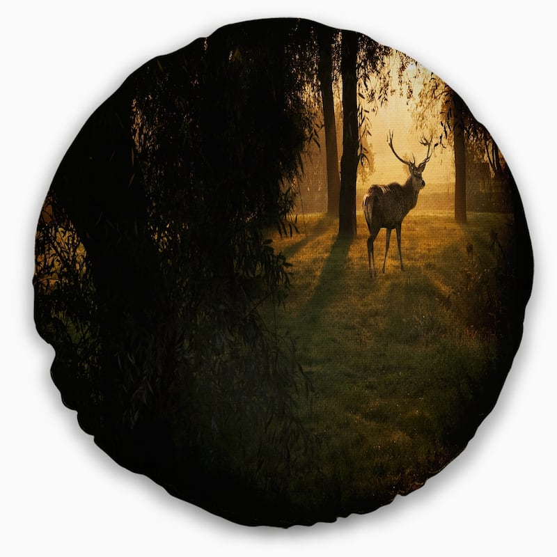 Designart 'Deer In Sunset In Deep Forest' Forest Throw Pillow