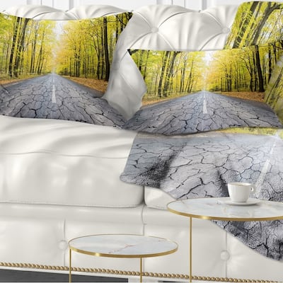 Designart 'Cracked Road in the Forest' Landscape Printed Throw Pillow