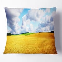 Designart Field Of Dreams Panorama Landscape Printed Throw Pillow On Sale Overstock 20951951