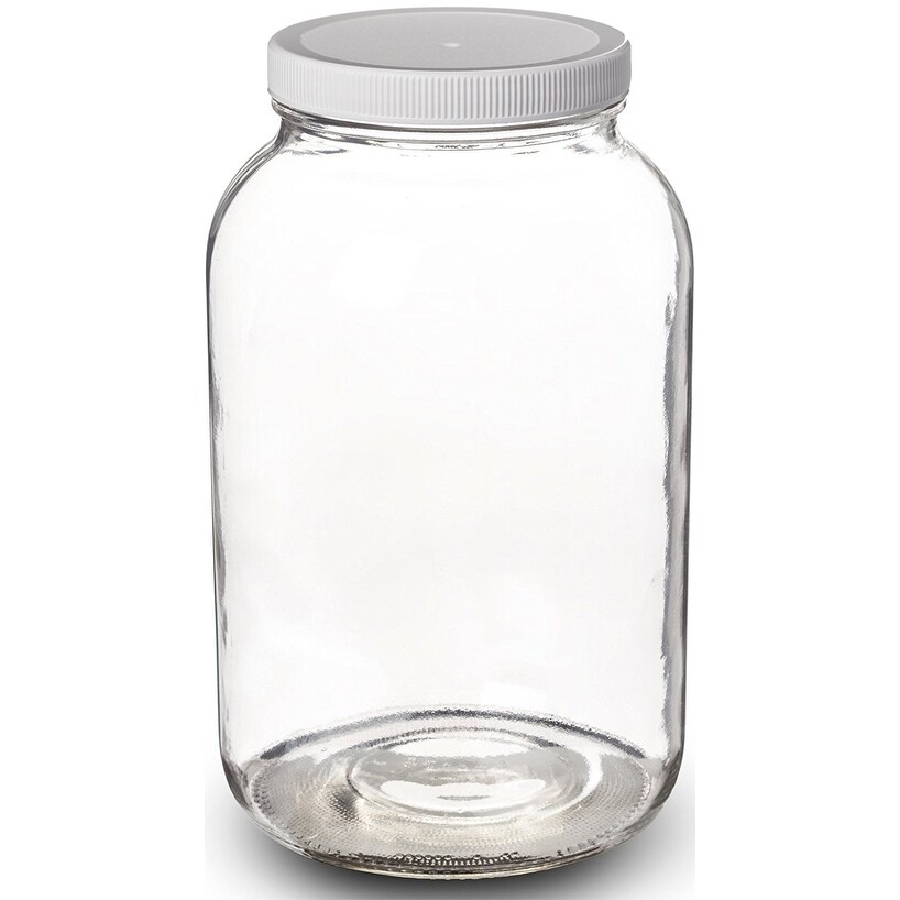 1 Gallon Glass Jar Wide Mouth With Airtight Plastic Lid Usda Approved Bpa Free Dishwasher Safe Mason Jar For Fermenting Clear Overstock 20956671