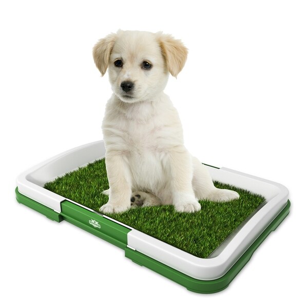 fake grass puppy pad