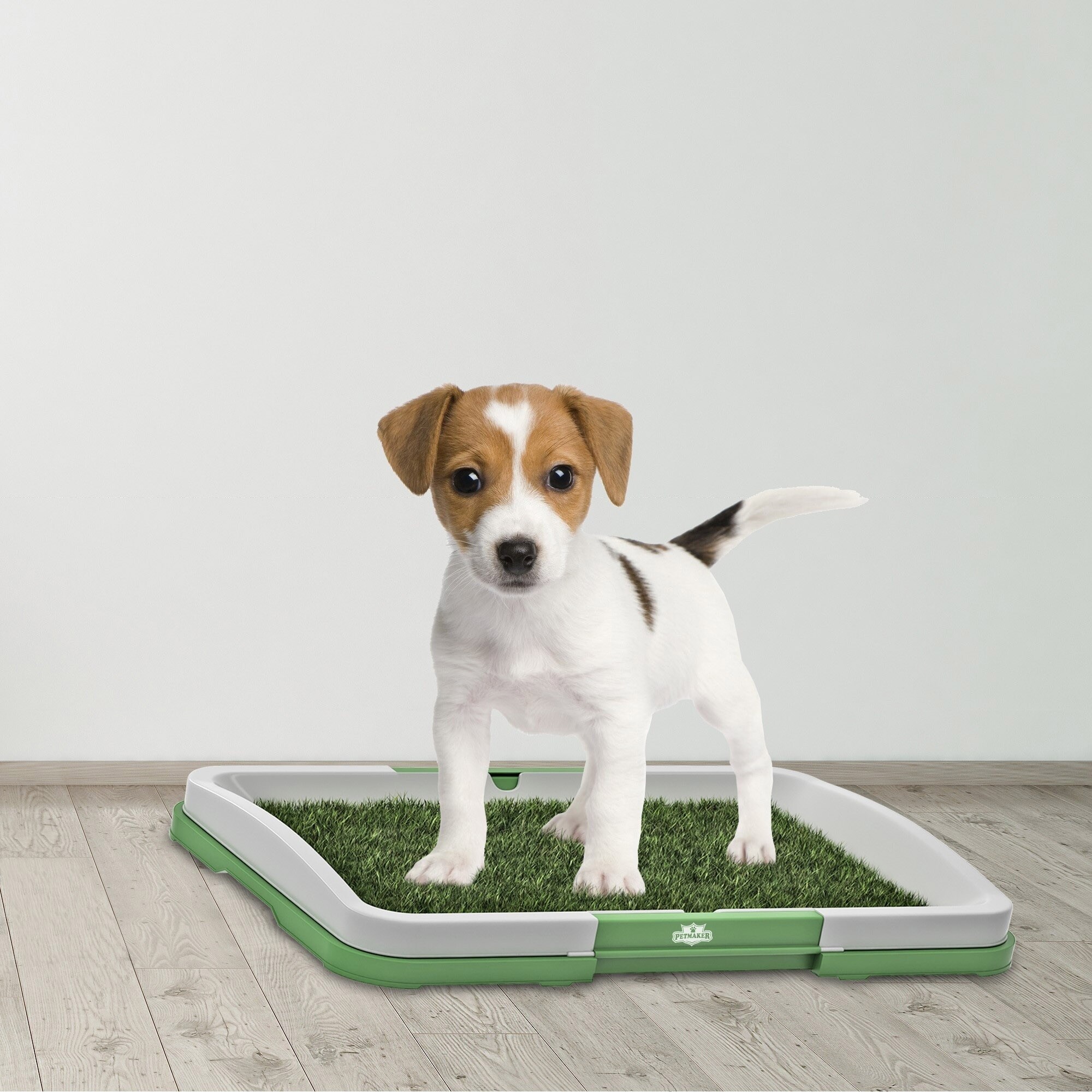 dog bathroom mat