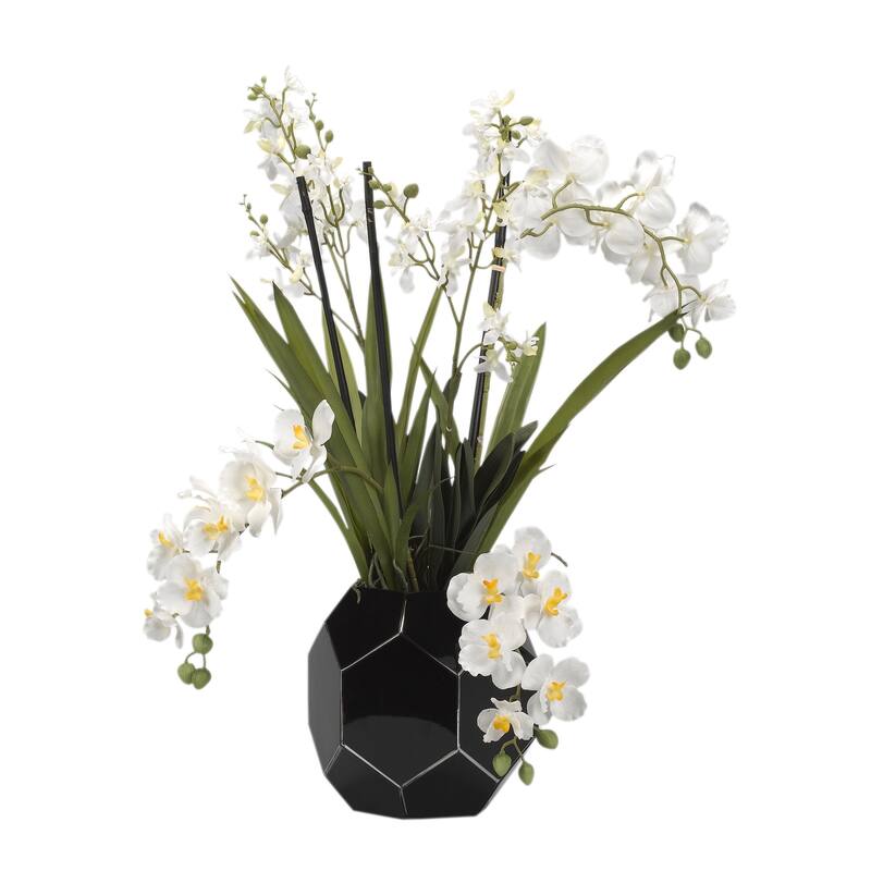 D&W Silks Cream Vanda and Dendrobium Orchids in Black Glass Bowl