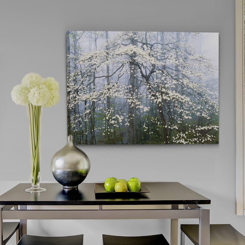 Jones _ Dogwood Canopy - Premium Gallery Wrapped Canvas