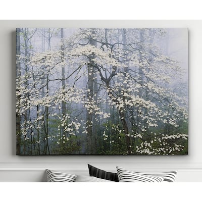 Jones _ Dogwood Canopy - Premium Gallery Wrapped Canvas