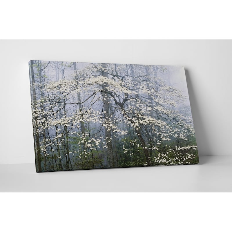 Jones _ Dogwood Canopy - Premium Gallery Wrapped Canvas