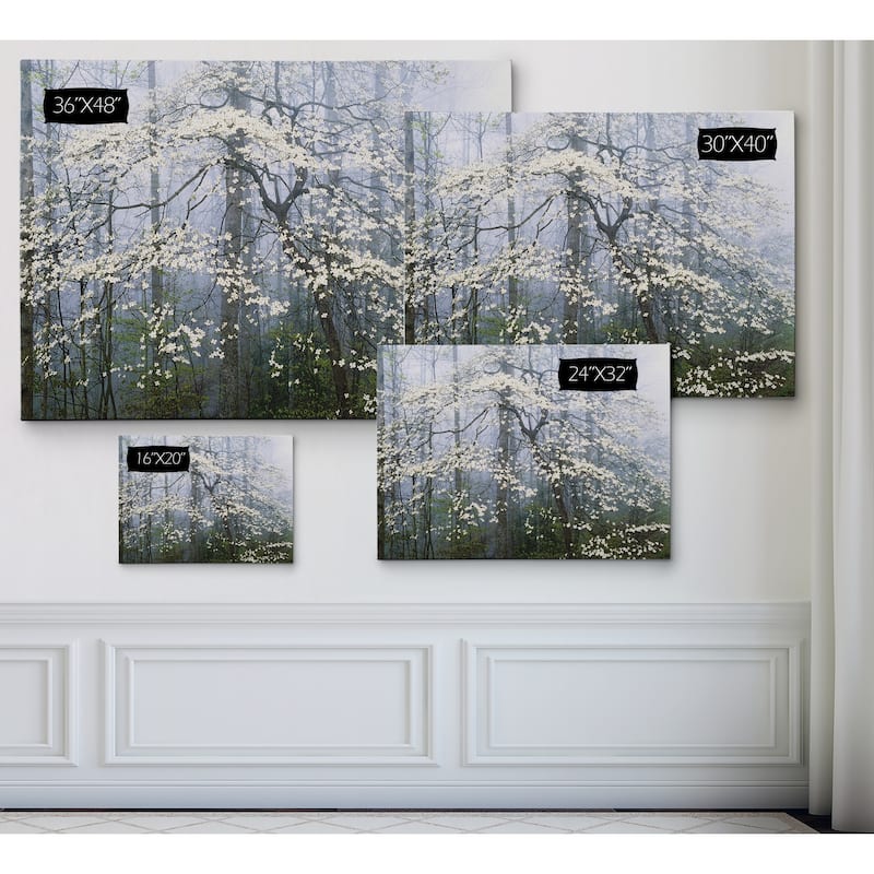 Jones _ Dogwood Canopy - Premium Gallery Wrapped Canvas