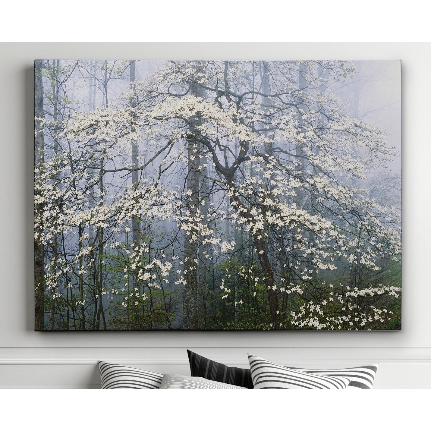 Jones _ Dogwood Canopy - Premium Gallery Wrapped Canvas
