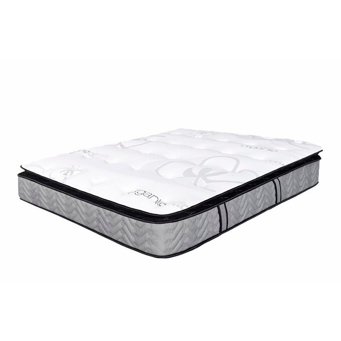 Shop Sleep Therapy Comfort Sleep Natural Plush Pillow Top Mattress