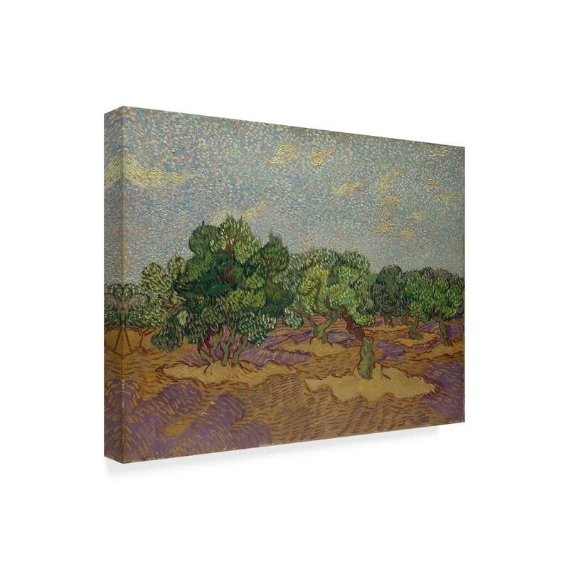 Vincent Van Gogh 'Olive Trees' Canvas Art - Multi-color