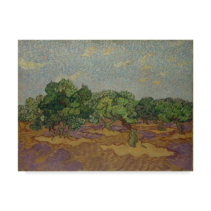 Vincent Van Gogh 'Olive Trees' Canvas Art - Multi-color