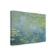 Claude Monet 'Waterlilies' Canvas Art - Multi-color - On Sale - Bed ...