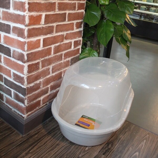 favorite jumbo box extra large