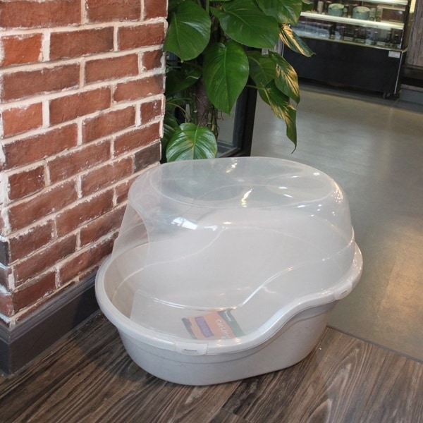 favorite jumbo box extra large