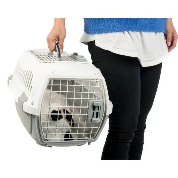 Shop Favorite 22 Inch Portable Two Door Top Load Pet Plastic Carrier Crate For Small Animals Overstock 21107767