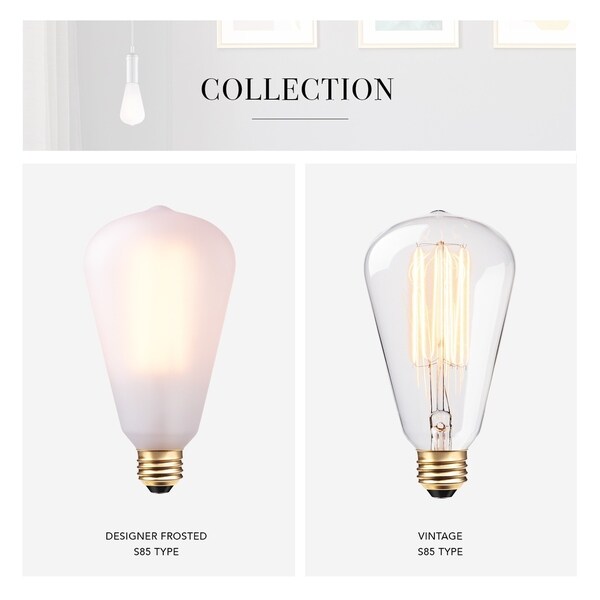 60W Frosted Vintage Edison Large S Type Dimmable Incandescent Bulb Bed Bath Beyond 21121319