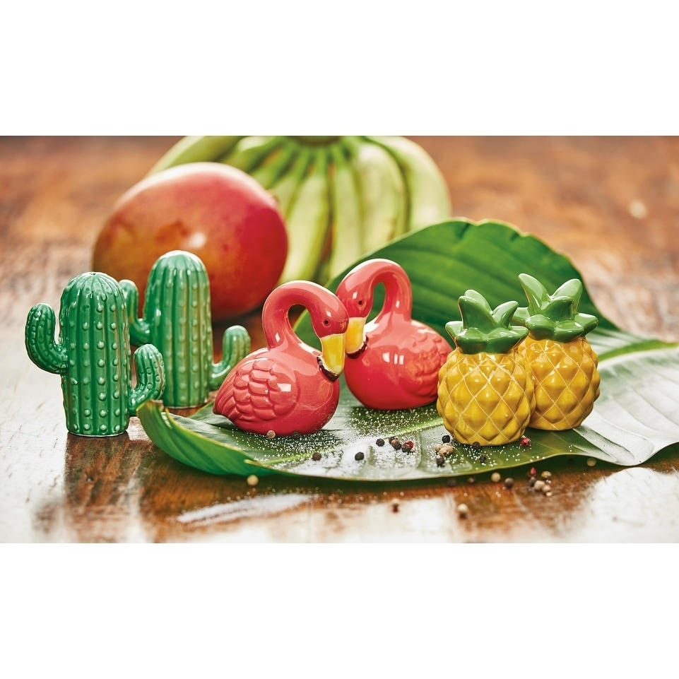 Novelty Magnetic Cactus Ceramic Salt & Pepper Shaker Set