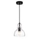 preview thumbnail 2 of 1, Nefelt Matte Black 1-light Decanter Seeded Glass Pendant