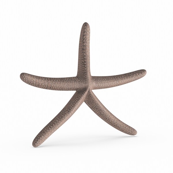 Copper Grove Sharbot 15-inch Aluminum Copper Star Fish