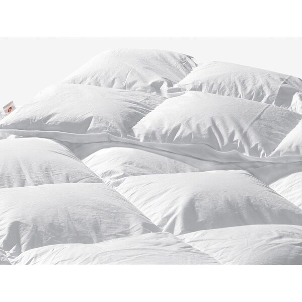 Swiss Comforts Down & Feather Comforter - Bed Bath & Beyond - 21176374